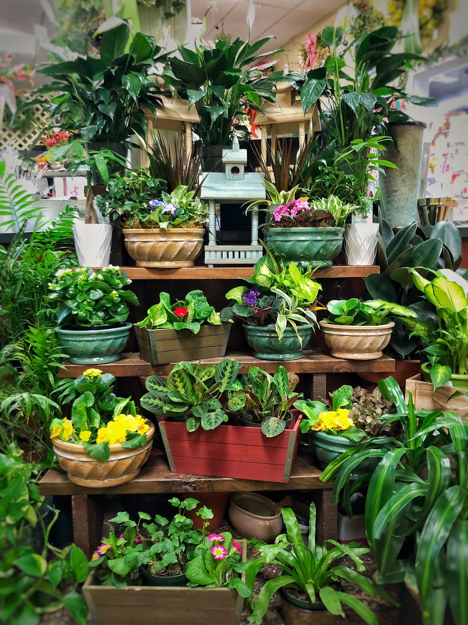 Erie Florist Flower Delivery by Allburn Florist